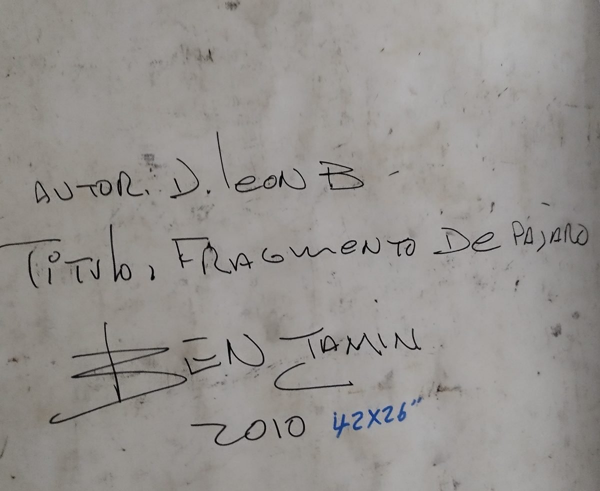 Respaldo Autografiado: Fragmento de pajaro3308